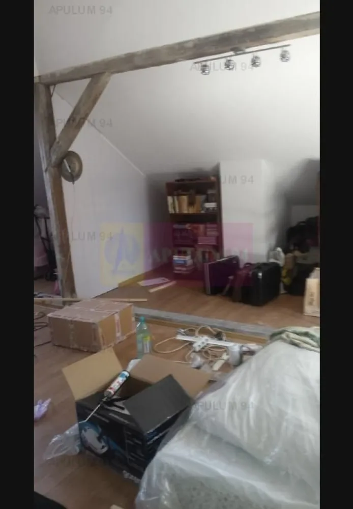 Vanzare vila Drumul Sarii.