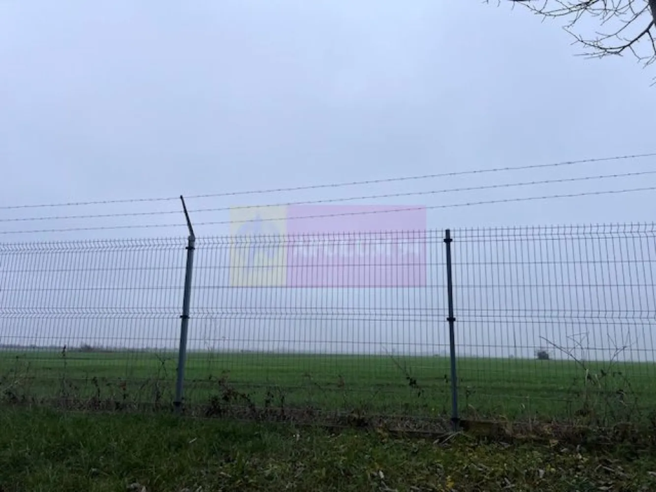 Teren Domnesti- Depozit Altex, Emag. - Compania imobiliara Apulum94 va propune un teren situat in zona Domnesti, in apropiere de depozitul Altex, Emag si Agricover.
 Terenul este intravilan agricol, are 2 deschideri la doua strazi paralele.
 Este pretabil pentru depozit, hala, fiind situat in zona industriala. 
Este o zona foarte dezvoltata industrial, cu acces facil catre centura, autostrada si drum national. 
Pentru vizionare si alte detalii nu ezitati sa ma contactati pe nr 0733683446- Laura Ionescu.