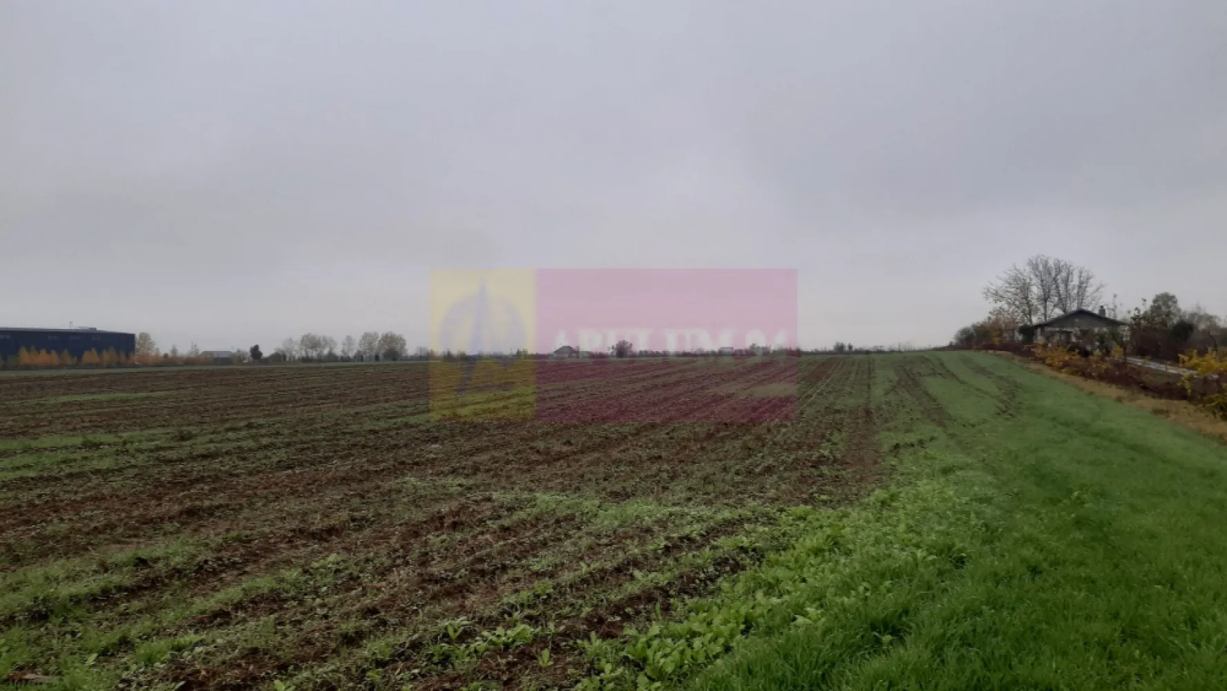 Teren Investiție aproape de București - Teren 2250mp aflat la 15 minute de București în localitatea 1 Decembrie bun pentru investiție. Terenul se află la 200ml de strada Artiștilor, stradă asfaltată și care se bucură de toate utilitățile (apă curent gaz canalizare) și la 1km de intersecția Artiștilor cu DN5 (giratoriul unde se află Supermarketul Lidl) iar la mai puțin de 500ml se află Râul Argeș. Terenul se află între două străzi neamenajate - Strada Codrului și Strada Zăvoiului și este format din două loturi alăturate. Deschiderea la drum este de 11ml, deschidere dublă, și la Codrului și la Zăvoiului și are o adâncime de 200 ml. În prezent terenul se află lângă două grădini de legume și se poate exploata pentru agricultură sau folosi pentru depozitare sau diferite activități evident nepoluante deoarece la nici 300ml sunt locuințe. Proprietar persoană fizică. Pentru mai multe detalii și programare de vizionări nu ezitați să contactați consultantul Apulum94 Daniel Duta.