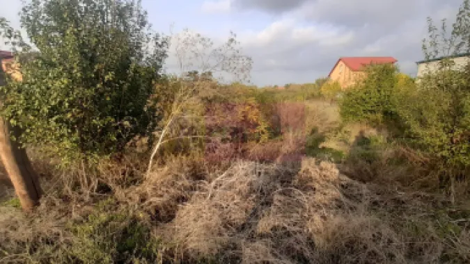 Teren foarte bun în 1 Decembrie Ilfov