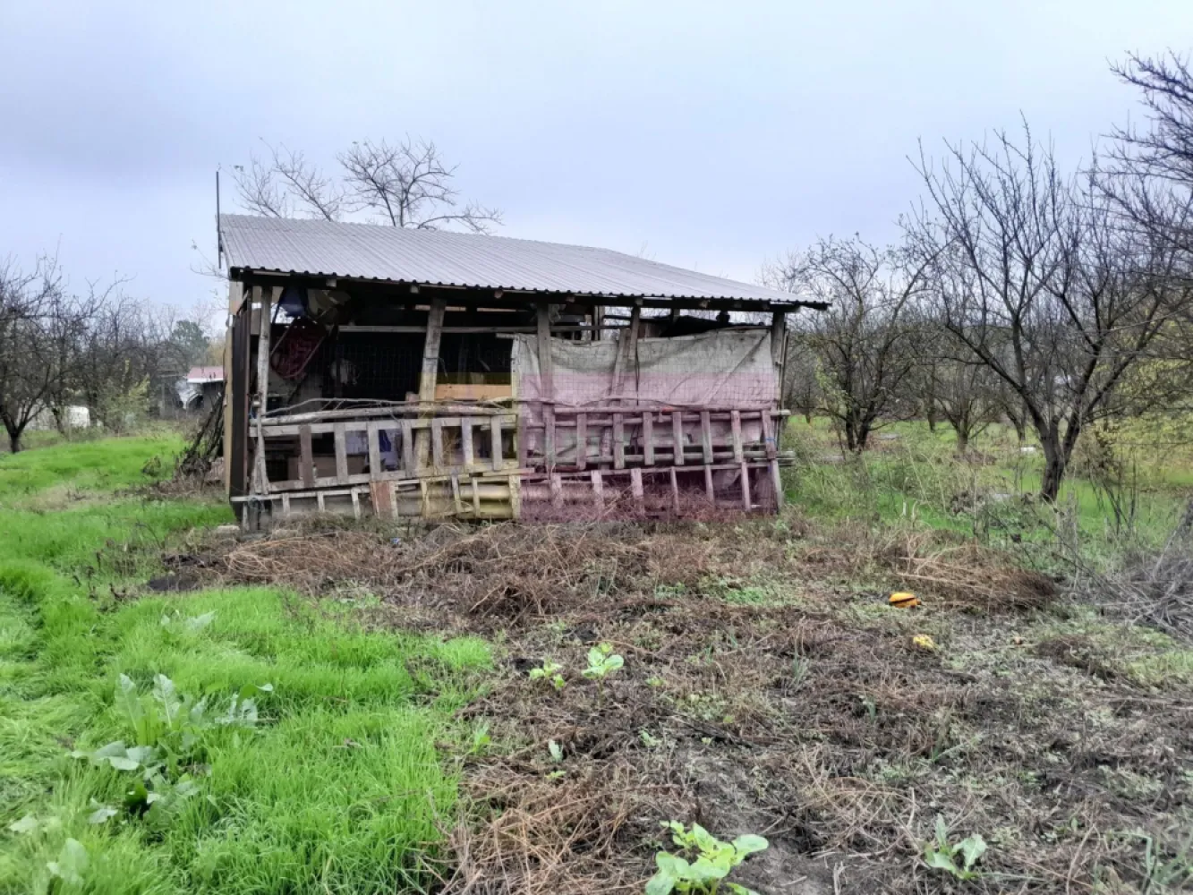 De vanzare casa +teren 16k mp in BARCANESTI / IL
