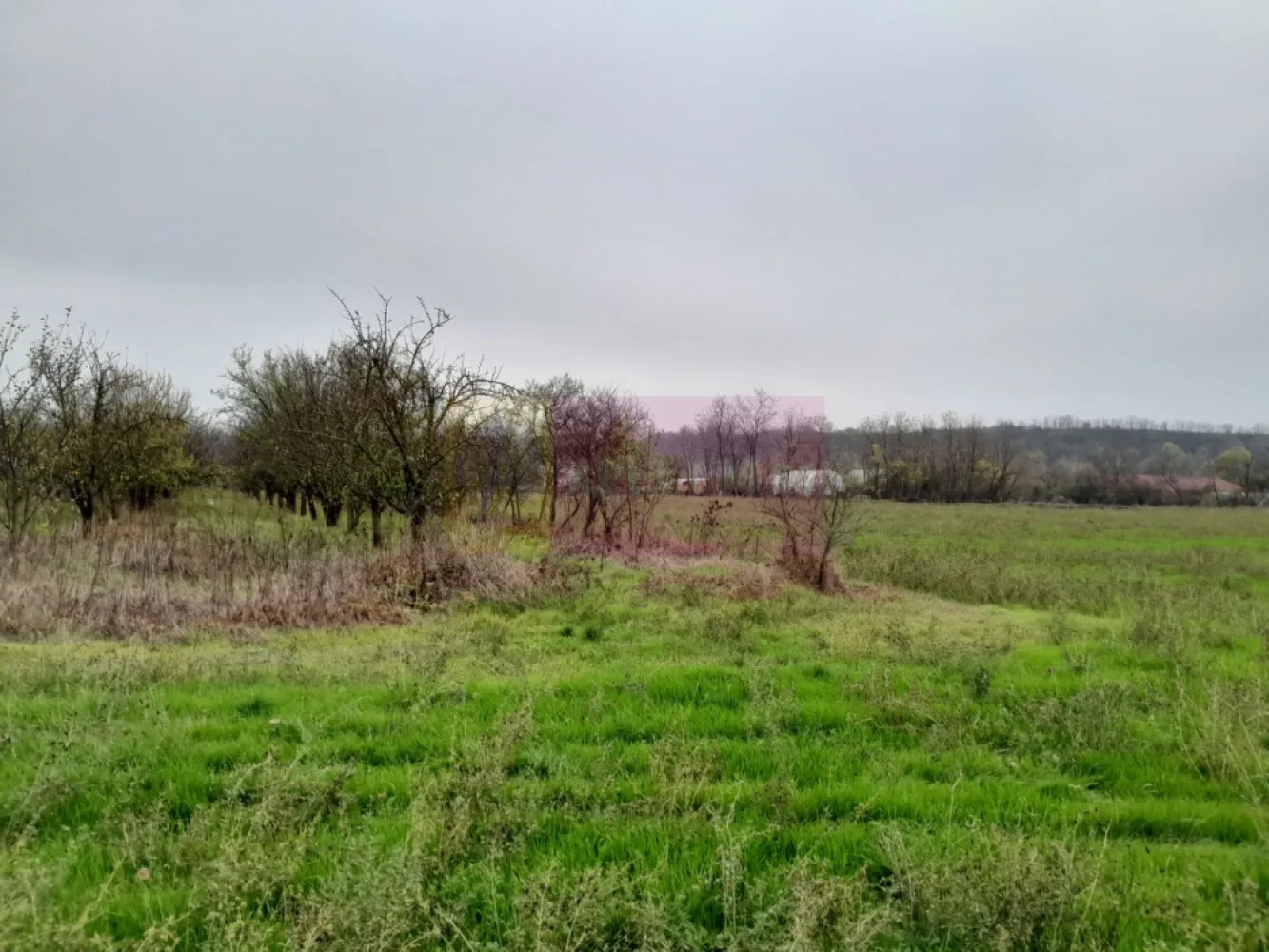 De vanzare casa +teren 16k mp in BARCANESTI / IL