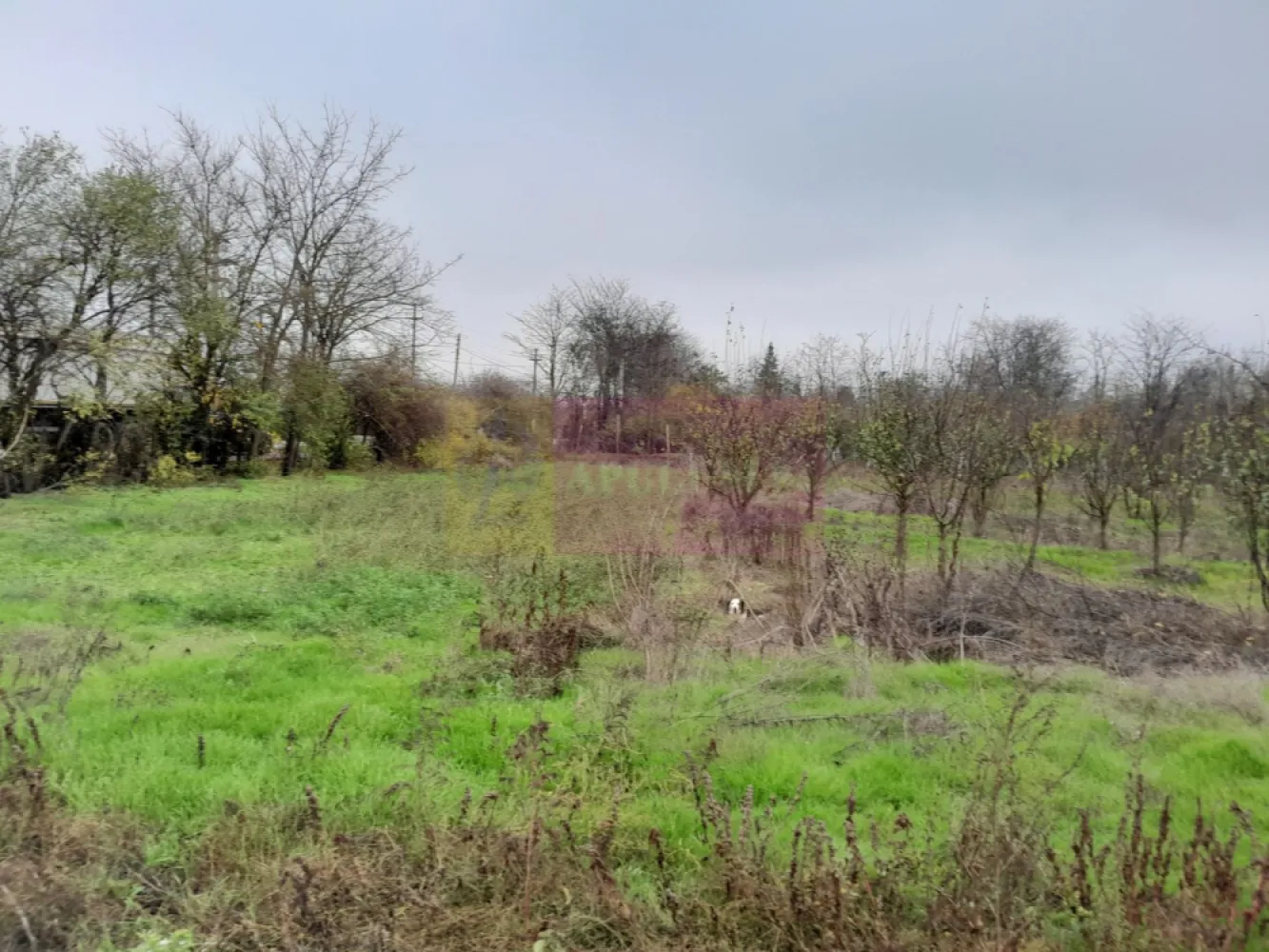 De vanzare casa +teren 16k mp in BARCANESTI / IL
