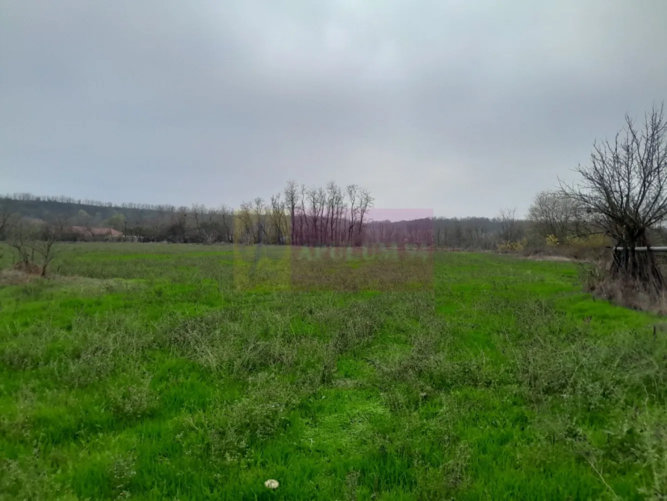 De vanzare casa +teren 16k mp in BARCANESTI / IL