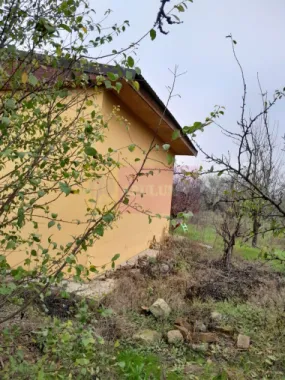 De vanzare casa +teren 16k mp in BARCANESTI / IL