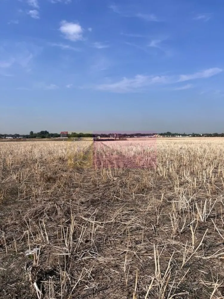 Teren Domnesti strada Ciocarliei. - Compania imobiliara Apulum 94 va propune un teren situat in comuna Domnesti- strada Ciocarliei. 
Terenul are acces din drum de servitute pietruit si are o suprafata de 500 mp cu deschidere de 23ml la care se adauga cota din drumul de acces. 
Curentul este la aproximativ 100 metri, gazele la 150-200 metri. 
Zona este in dezvoltare. 
Pentru vizionare si alte detalii nu ezitati sa ma contactati pe nr 0733683446- Laura Ionescu.