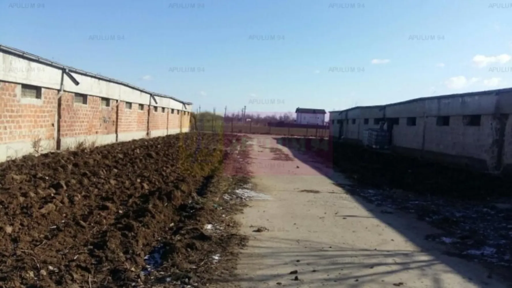 Teren Balotesti- Saftica - Compania imobiliara Apulum 94 va propune un teren care se afla in Saftica- apartinand juridic de Comuna Balotesti. 
Terenul este pretabil pentru constructii locuinte, are apa si curent, gazul si canalul sunt foarte aproape. 
Este aproape de lac, ceea ce reprezinta o locatie speciala pentru locuinte.
 Pe teren sunt hale mai vechi, parte din ele intr-o stare mai buna, parte mai dezafectate. 
Terenul este in proprietatea unei persoane juridice.
Pentru vizionare si mai multe detalii nu ezitati sa ma contactati pe nr 0733683446- Laura Ionescu.