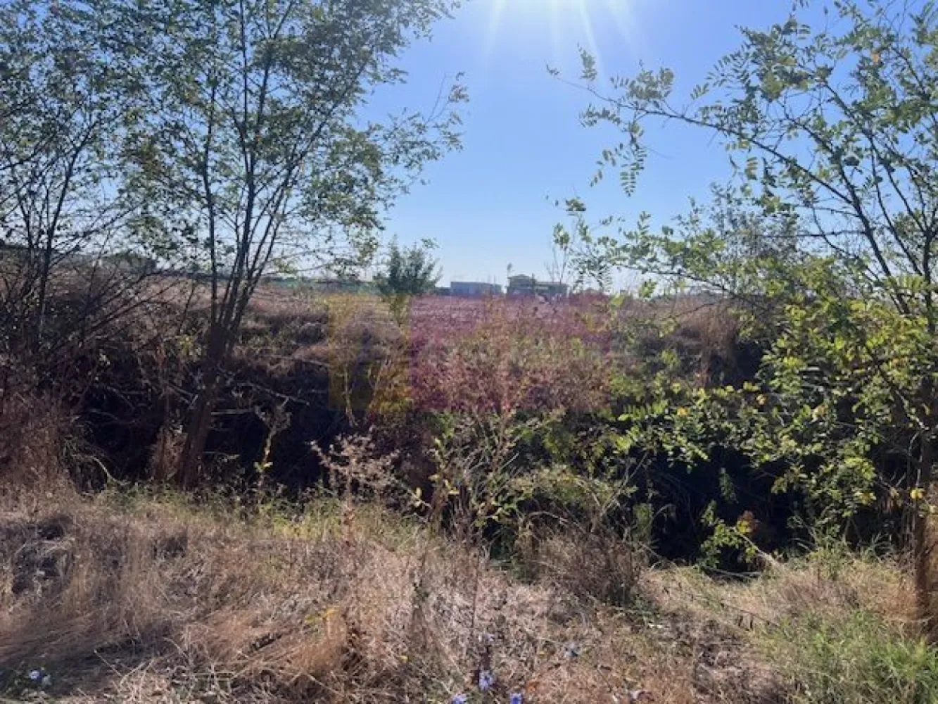 Teren Cornetu Strada Magnoliei- Pinului. - Compania imobiliara Apulum 94 va propune un teren de 6200 mp cu deschidere de 35 ml situat in Cornetu- strada Magnoliei cu Pinului. 
Terenul este dezmembrat in 5 loturi cu o suprafata de aproximativ 500 mp si un lot mare de 2250 mp, cu drum de servitute de 9 metri latime si se poate vinde pe loturi cat su intreaga suprafata.
Prin fata terenului trec gazele, curentul , apa si canalizarea.
Zona este in dezvoltare, foarte linistita, cu case si vecini civilizati. 
Pentru vizionare nu ezitati sa ma contactati pe nr 0733683446- Laura Ionescu.