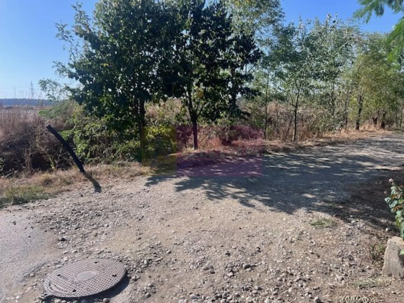 Teren Cornetu Strada Magnoliei- Pinului. - Compania imobiliara Apulum 94 va propune un teren de 6200 mp cu deschidere de 35 ml situat in Cornetu- strada Magnoliei cu Pinului. 
Terenul este dezmembrat in 5 loturi cu o suprafata de aproximativ 500 mp si un lot mare de 2250 mp, cu drum de servitute de 9 metri latime si se poate vinde pe loturi cat su intreaga suprafata.
Prin fata terenului trec gazele, curentul , apa si canalizarea.
Zona este in dezvoltare, foarte linistita, cu case si vecini civilizati. 
Pentru vizionare nu ezitati sa ma contactati pe nr 0733683446- Laura Ionescu.