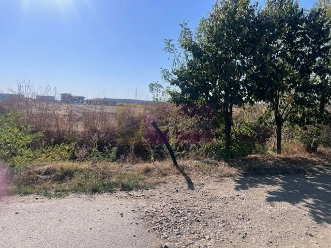 Teren Cornetu Strada Magnoliei- Pinului. - Compania imobiliara Apulum 94 va propune un teren de 6200 mp cu deschidere de 35 ml situat in Cornetu- strada Magnoliei cu Pinului. 
Terenul este dezmembrat in 5 loturi cu o suprafata de aproximativ 500 mp si un lot mare de 2250 mp, cu drum de servitute de 9 metri latime si se poate vinde pe loturi cat su intreaga suprafata.
Prin fata terenului trec gazele, curentul , apa si canalizarea.
Zona este in dezvoltare, foarte linistita, cu case si vecini civilizati. 
Pentru vizionare nu ezitati sa ma contactati pe nr 0733683446- Laura Ionescu.