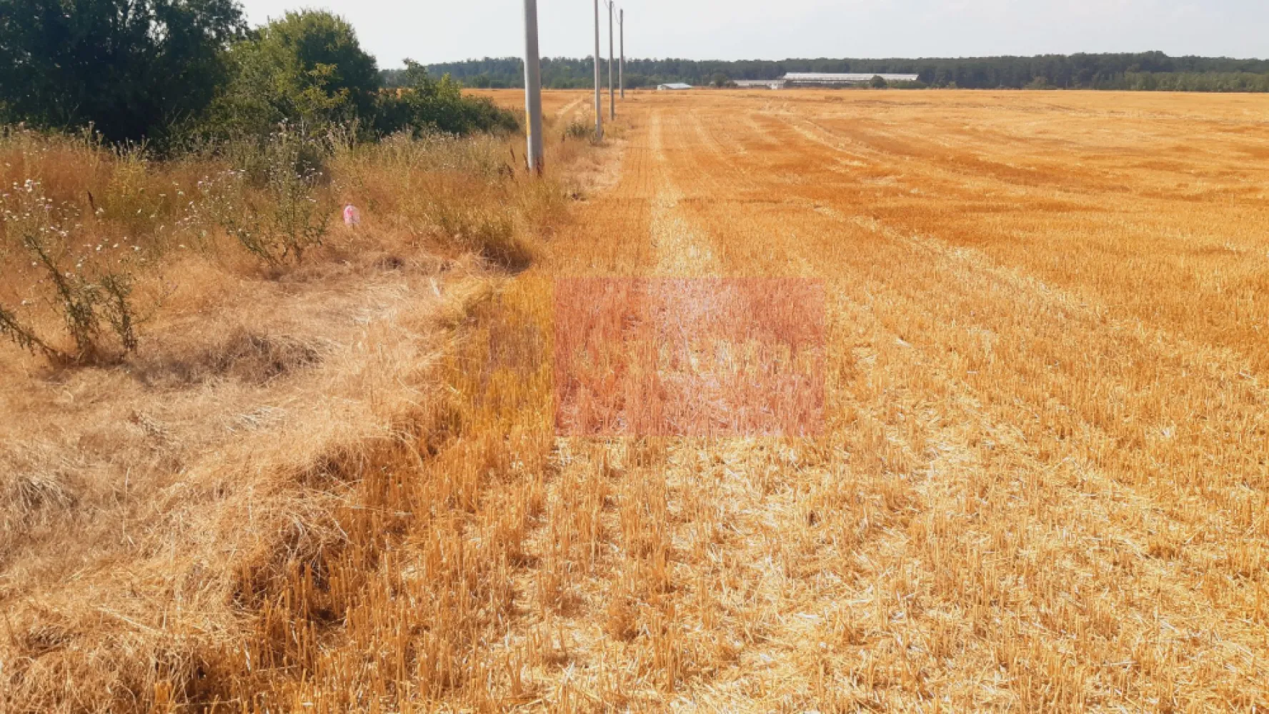 Teren pentru casă/case în Brănești pe strada Toporași - Apulum94 vă ropune spre cumpărare un teren de 2000 de metri pătrați situat în localitatea Brănești pe strada Toporași. Terenul este intravilan și avem certificat de urbanism valabil. Zona în care se află terenul este gândită ca o zonă de extindere a comunității locale și cei care locuiesc deja pe stradă beneficiază de toate utilitățile (apă, canal, curent, gaz, cablu, internet) la limita terenului avem stâlpii de curent iar restul utiităților sunt la aropximativ 150ml de teren. Frontul stradal de aproximativ 20 de metri liniari permit și o lotizare. Terenul se vinde integral unui singur client sau unui grup de clienți. Proprietarii sunt persoane fizice, tranzacția nu presupune TVA dar se dorește perfectarea actelor de vânzare-cumpărare într-o singură etapă. Actele sunt la zi.Pentru mai multe detalii și programarea de vizionări nu ezitați să mă conatactați, Daniel, Apulum94. Facilităm și achiziționarea prin credit ipotecar prin intermediul partenerilor, agenția imobiliară percepe un comision de 3% din prețul de tranzacționare și la vizionare se semnează contract de prestări servicii.