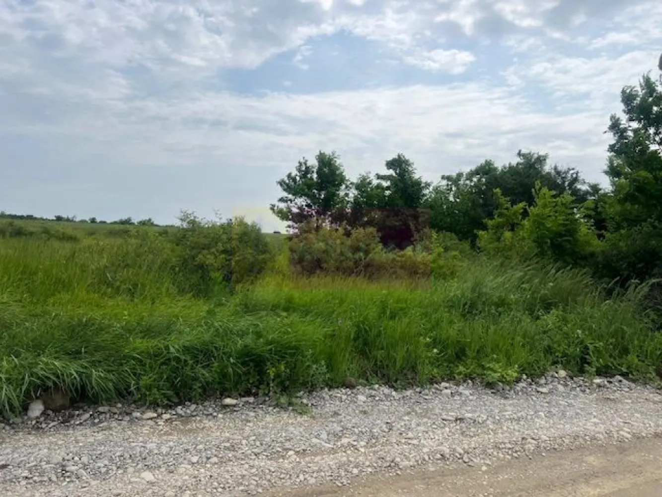 Teren Saftica- strada Albinelor. - Compania imobiliara Apulum 94 va propune un teren de 5444 mp situat in satul Saftica, Comuna Balotesti pe strada Albinelor.
Accesul catre teren se face din DN pe un drum pietruit si este o zona noua in plina dezvoltare.
Gazul si curentul sunt la aproximativ 70 metri. 
Pentru alte detalii si vizionare nu ezitati sa ma contactati pe nr 0733683446- Laura Ionescu.