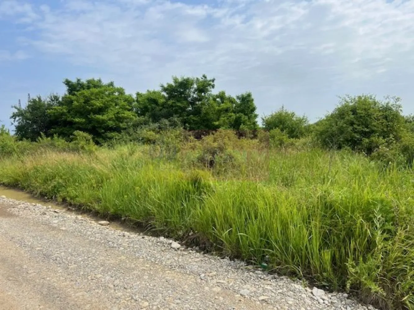 Teren Saftica- strada Albinelor. - Compania imobiliara Apulum 94 va propune un teren de 5444 mp situat in satul Saftica, Comuna Balotesti pe strada Albinelor.
Accesul catre teren se face din DN pe un drum pietruit si este o zona noua in plina dezvoltare.
Gazul si curentul sunt la aproximativ 70 metri. 
Pentru alte detalii si vizionare nu ezitati sa ma contactati pe nr 0733683446- Laura Ionescu.