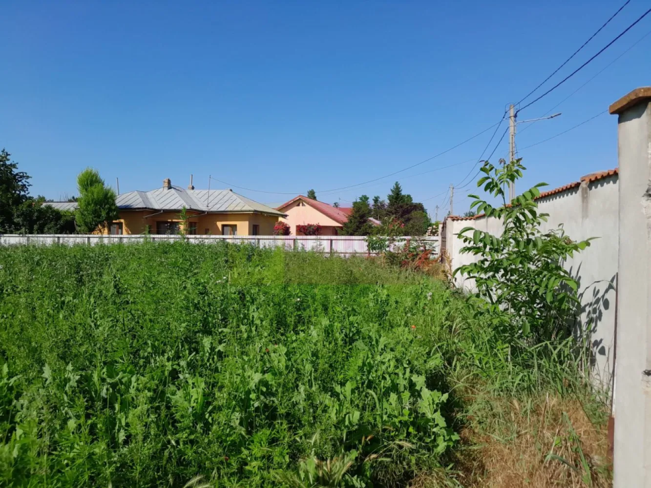 Inch teren cu 0.5 eur/mp/luna in Movilita/ Ialomita