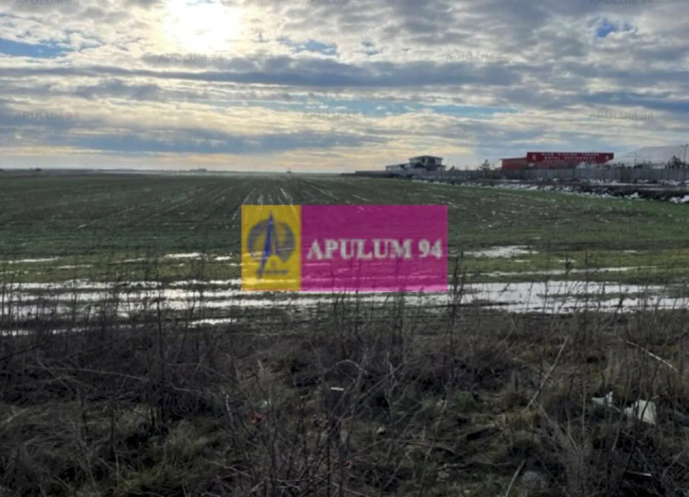 Teren Mihailesti- langa Dovinot. - Compania imobiliara Apulum 94 va propune un teren situat pe DN6- stradal, in Mihailesti- in apropiere de piscina Dovinot. 
Terenul este extravilan, are curent in fata si este pretabil ptr hala, depozit, spatiu logistic, etc.
Pentru vizionare si mai multe detalii nu ezitati sa ma contactati pe nr 0733.683.446- Laura Ionescu.