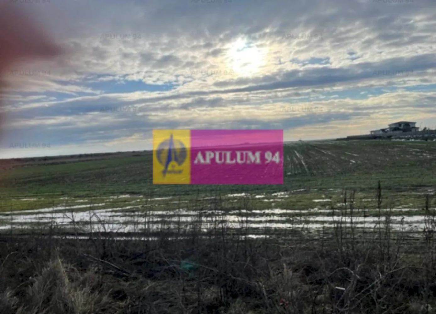 Teren Mihailesti- langa Dovinot. - Compania imobiliara Apulum 94 va propune un teren situat pe DN6- stradal, in Mihailesti- in apropiere de piscina Dovinot. 
Terenul este extravilan, are curent in fata si este pretabil ptr hala, depozit, spatiu logistic, etc.
Pentru vizionare si mai multe detalii nu ezitati sa ma contactati pe nr 0733.683.446- Laura Ionescu.