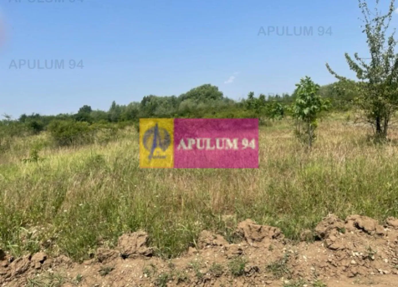 Teren Domnesti- Ciutaci. - Compania Imobiliara Apulum94 va propune un teren situat in Domnesti- Ciutaci- Drumul Targului. 
Terenul este situat in apropiere de padure, in jur sunt case si loturi libere. 
Are o dubla deschidere, respectiv una de 28,9 cealalta de 34,67.
Este o zona in plina dezvoltare.
Curentul, apa si canaulu trec prin fata terenului iar si gazele sunt la aproximativ 50 metri.
Pentru vizionare si mai multe detalii nu ezitati sa ma contactati pe nr 0733683446- Laura Ionescu.
