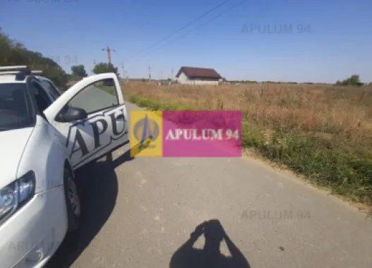 Logo Apulum94 logo