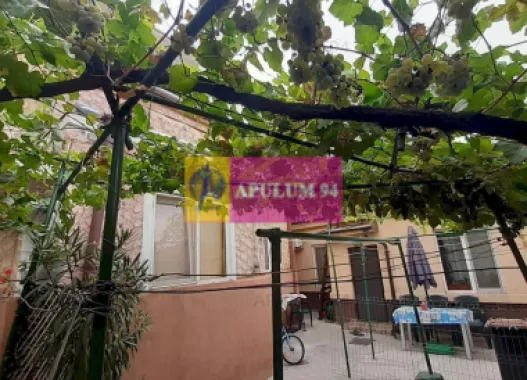 Logo Apulum94 logo