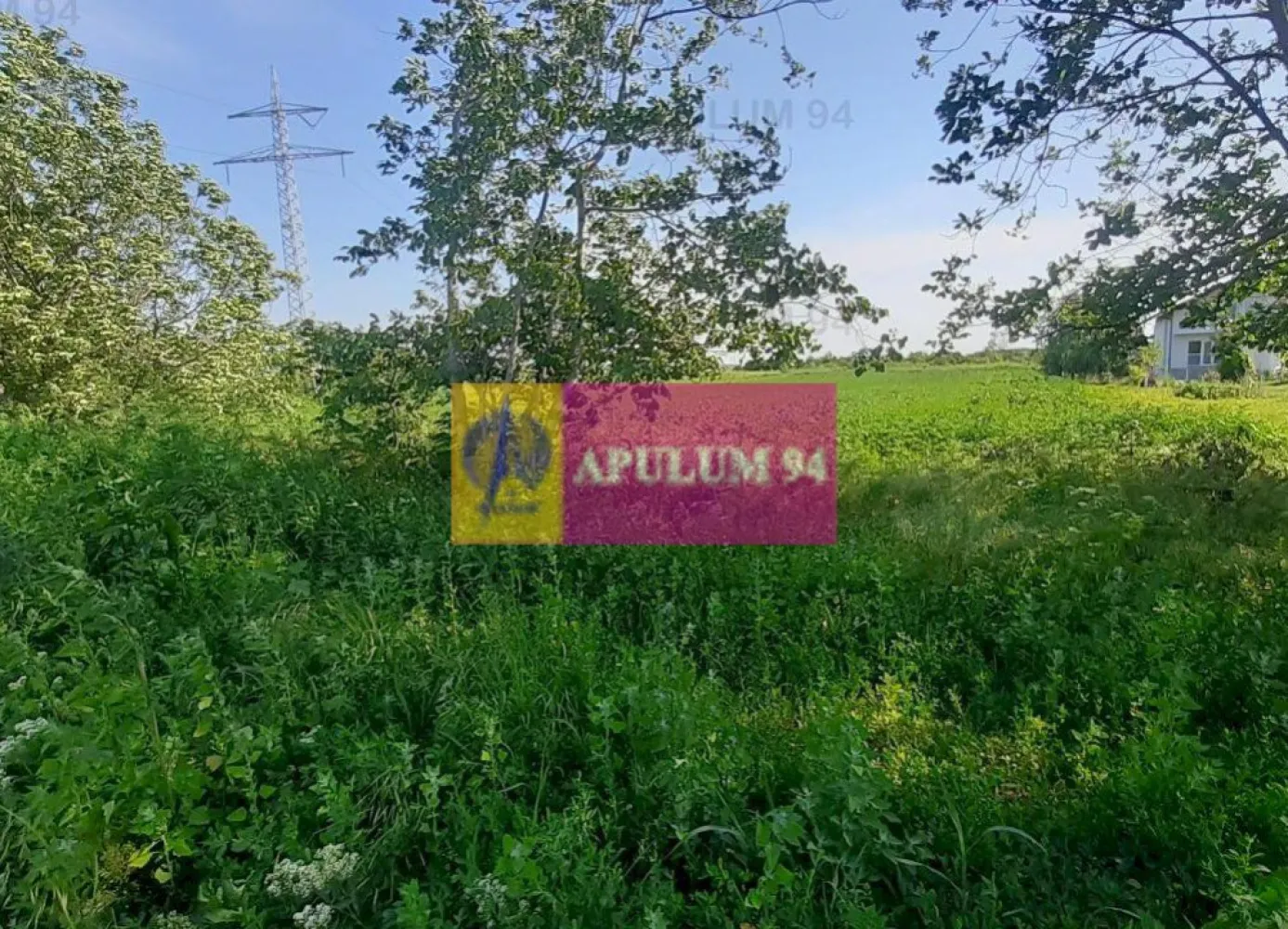 Teren cu utilități pentru dezvoltare proiect - Vă propun spre cumpărare un teren de 5000 mp situat la 15-20 minute de capitală, în localitatea Copăceni din Ilfov. Terenul este situat la intrarea în localitate și beneficiază de toate caracteristicile necesare pentru a dezvolta un proiect de succes. Terenul este cu front stradal la strada Macului, acces din strada Plopilor, prima strada la stânga cum intrăm îm localitatea Copăceni. Avem curent electric, apă curentă, canalizare și gaz. Avem toate utilitățile prezente și este necesar doar branșamentul, terenul este pe persoană fizică deci tranzacția nu presupune TVA, prețul este foarte bun în raport cu ceea ce oferim, proximitate față de oraș, Acces facil la A0 (autostrada care înconjoară Bucureștiul este la 5 minute de teren), la mijloace de transport, centre comerciale, școli, grădinițe. Zona prezintă potențial, accesul în localitate este destul de ușor. Pentru mai multe detalii și programarea de vizionări nu ezitați să mă contactați, Daniel, Apulum94. Facilităm și achiziționarea prin credit ipotecar prin intermediul partenerilor, agenția imobiliară percepe un comision de 3% din prețul de tranzacționare și la vizionare se semnează contract de prestări servicii.