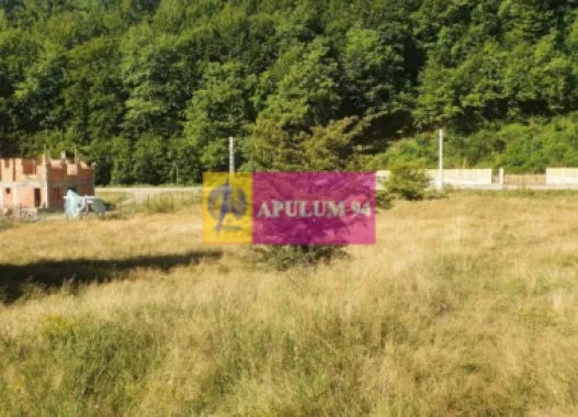 Logo Apulum94 logo
