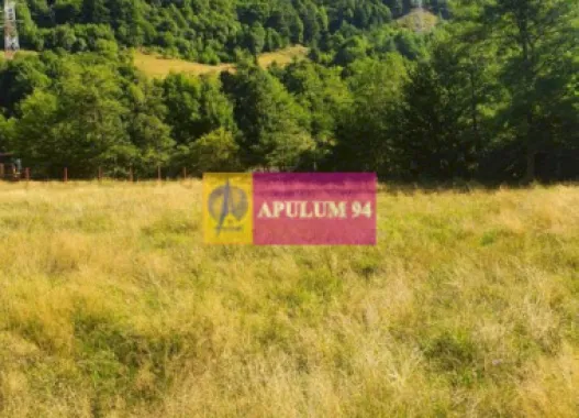 Teren Județul Vâlcea - Brezoi, Valea lui Stan