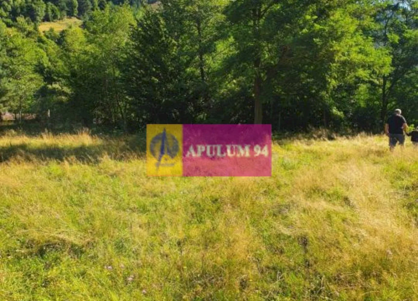 Teren Județul Vâlcea - Brezoi, Valea lui Stan