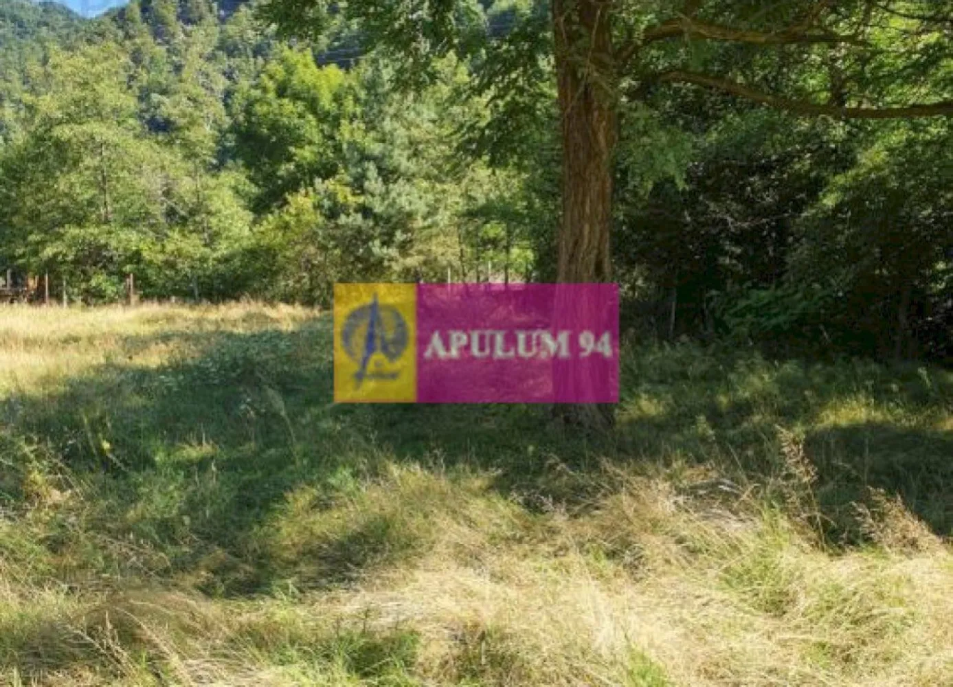 Teren Județul Vâlcea - Brezoi, Valea lui Stan