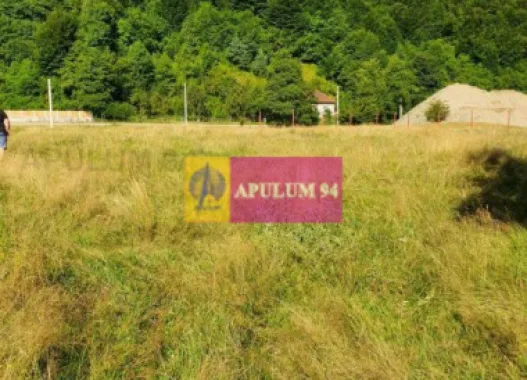 Teren Județul Vâlcea - Brezoi, Valea lui Stan