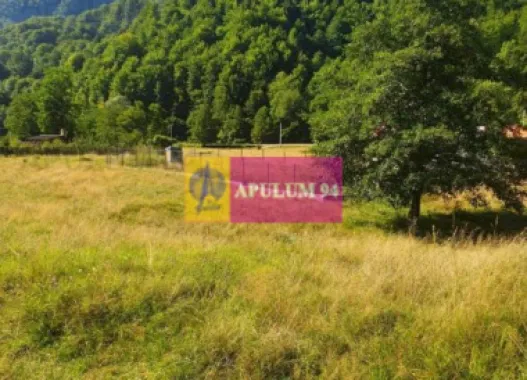 Teren Județul Vâlcea - Brezoi, Valea lui Stan