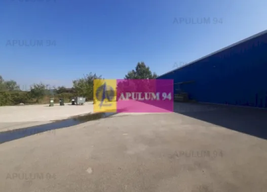 Spatiu Logistic langa Bucuresti Hala 5000 mp