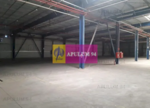 Spatiu Logistic langa Bucuresti Hala 5000 mp