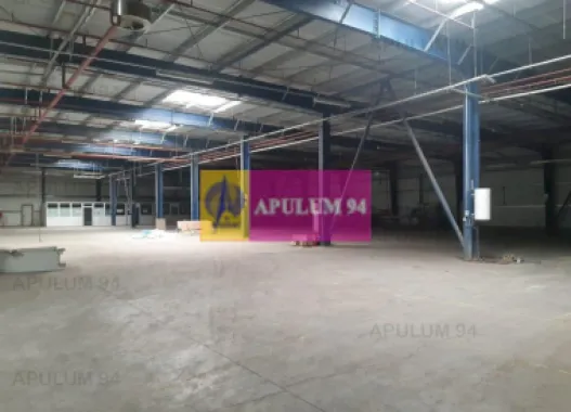 Spatiu Logistic langa Bucuresti Hala 5000 mp
