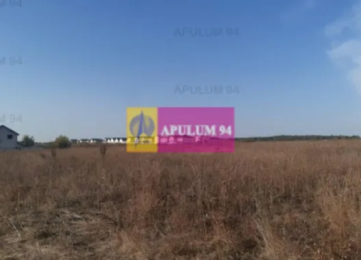 Teren bun mare și ieftin