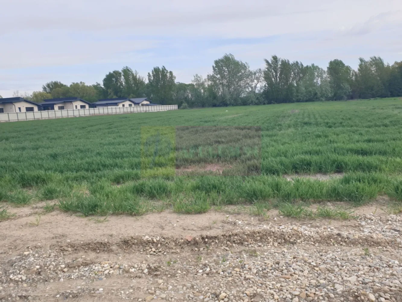 Teren ideal dezvoltare imobiliară în Măgurele strada Atmosferei