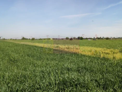 Teren intravilan cu potanțial pentru investiție