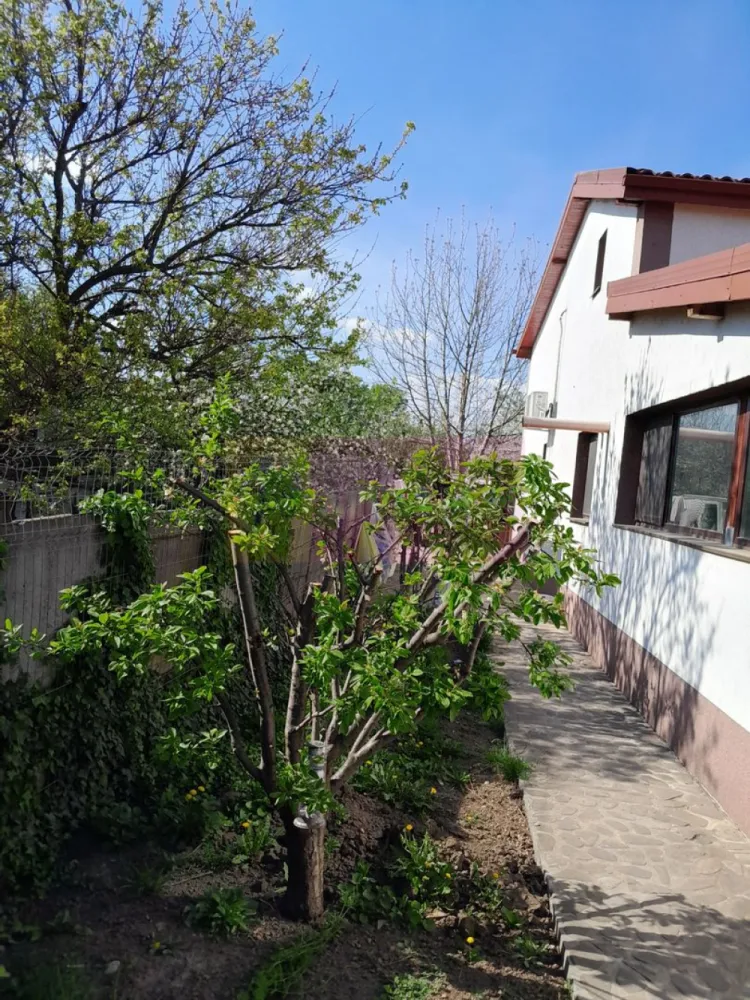 DE VANARE CASA P+M 5 CAM GIURGIU