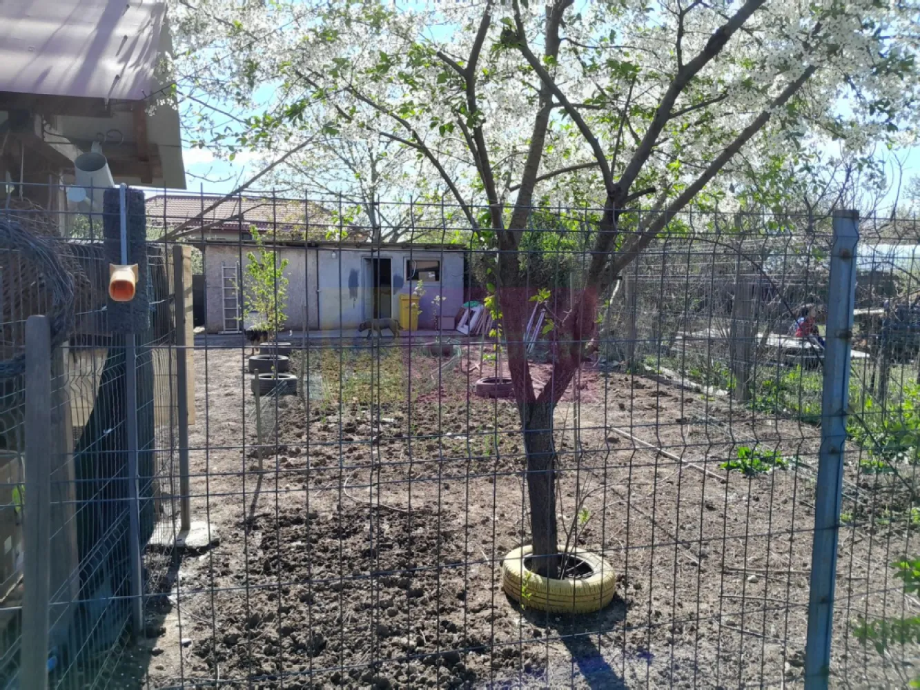 DE VANARE CASA P+M 5 CAM GIURGIU
