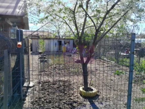 DE VANARE CASA P+M 5 CAM GIURGIU