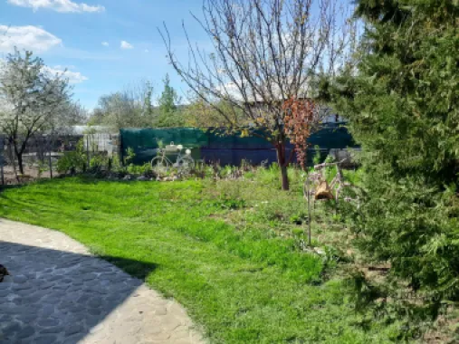 DE VANARE CASA P+M 5 CAM GIURGIU