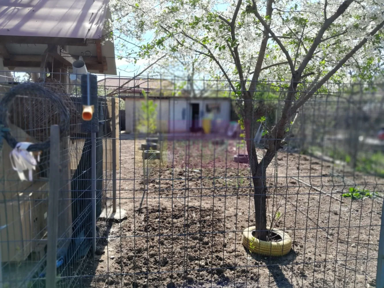 DE VANARE CASA P+M 5 CAM GIURGIU