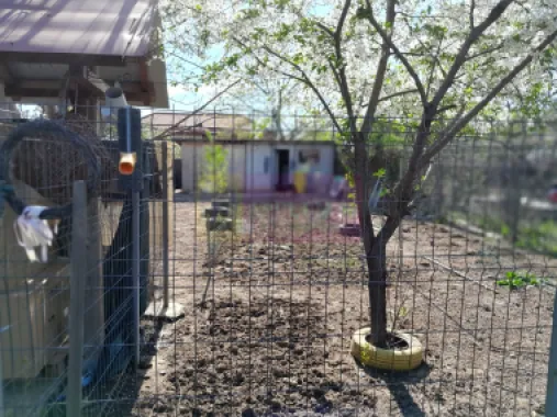 DE VANARE CASA P+M 5 CAM GIURGIU