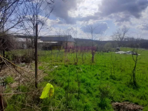 DE VANZARE TEREN 3400 MP IN SAT PODU ILFOVAT / COM BUTURUGENI (GR)