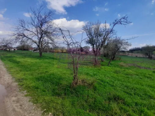 DE VANZARE TEREN 3400 MP IN SAT PODU ILFOVAT / COM BUTURUGENI (GR)