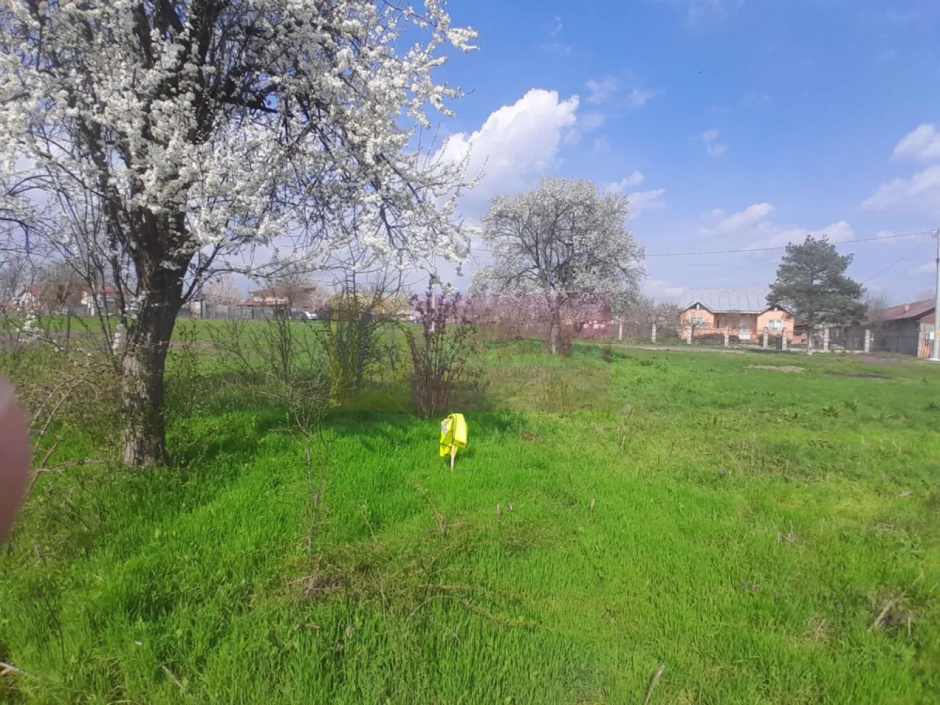 DE VANZARE TEREN 3400 MP IN SAT PODU ILFOVAT / COM BUTURUGENI (GR)