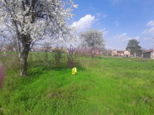 DE VANZARE TEREN 3400 MP IN SAT PODU ILFOVAT / COM BUTURUGENI (GR)