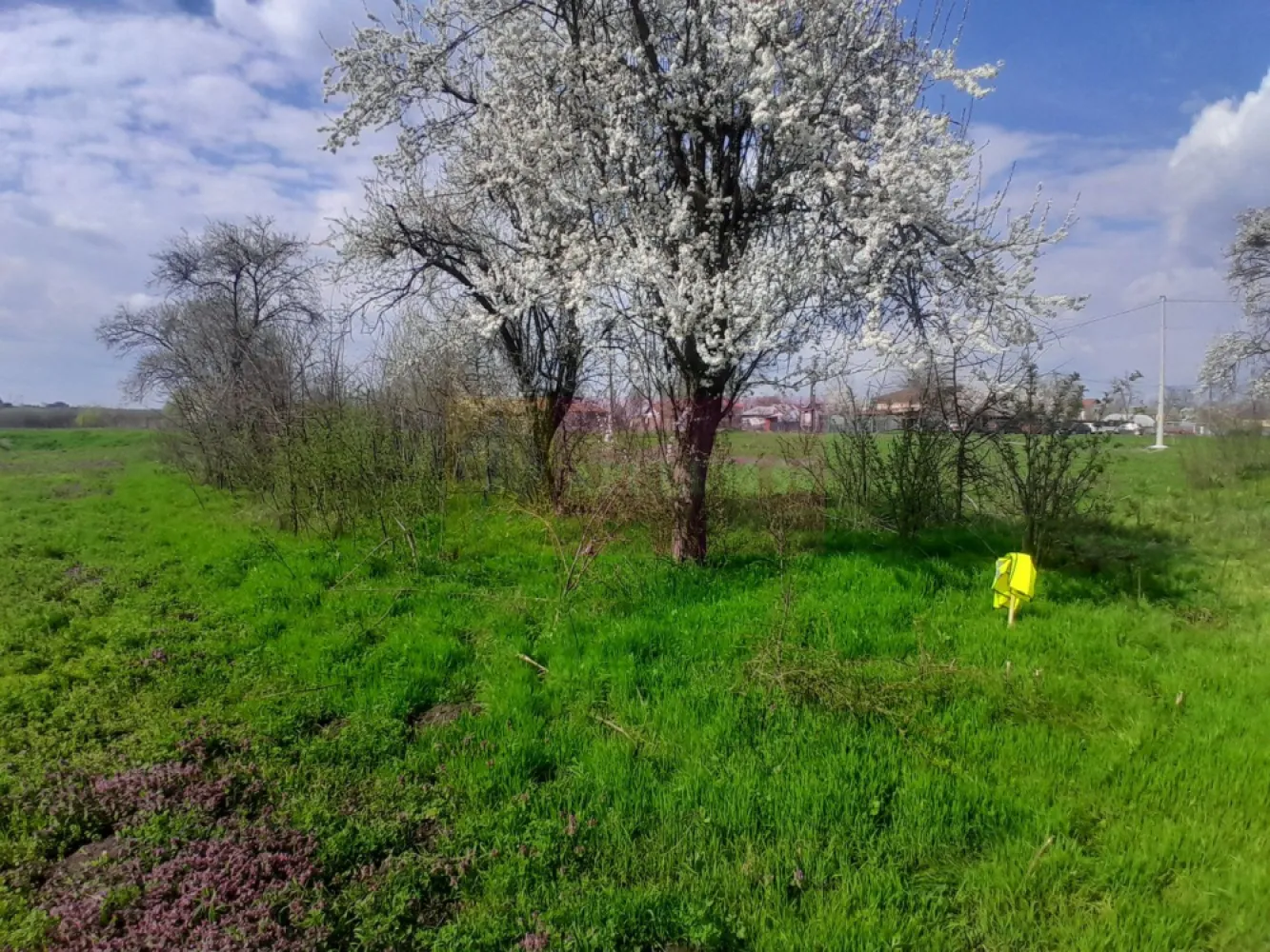 DE VANZARE TEREN 3400 MP IN SAT PODU ILFOVAT / COM BUTURUGENI (GR)