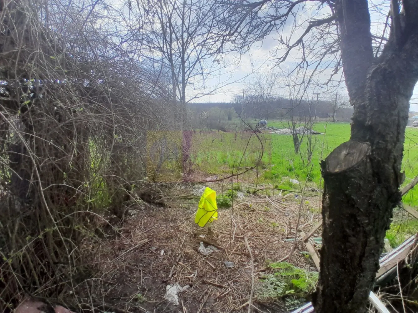 DE VANZARE TEREN 3400 MP IN SAT PODU ILFOVAT / COM BUTURUGENI (GR)