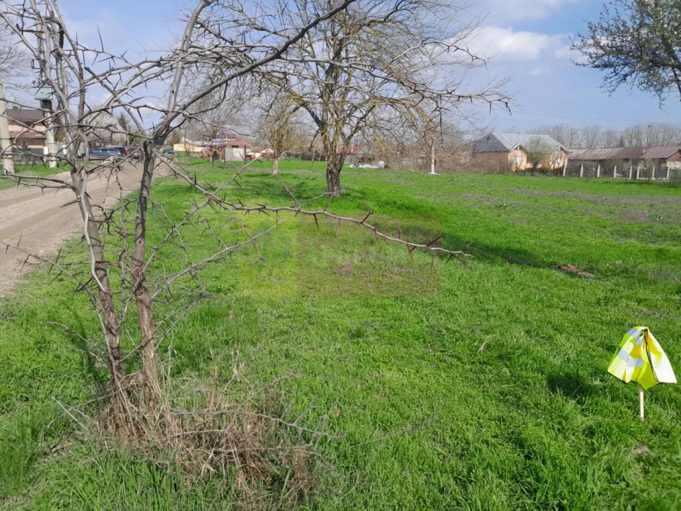 DE VANZARE TEREN 3400 MP IN SAT PODU ILFOVAT / COM BUTURUGENI (GR)