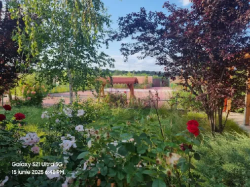 DE VANZARE CASA 10 CAM IN SAT TEISORI (JUD. GIURGIU)